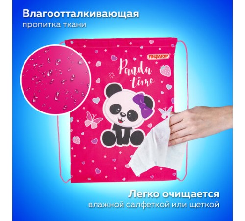 Мешок для обуви ПИФАГОР, 1 отделение, 42х34 см, 