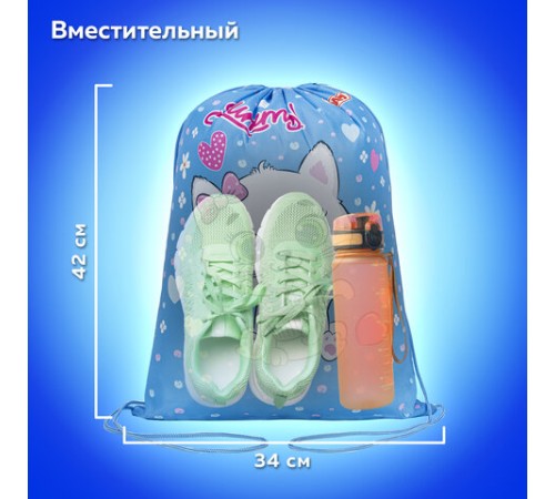 Мешок для обуви ПИФАГОР, 1 отделение, 42х34 см, 