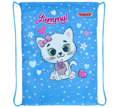 Мешок для обуви ПИФАГОР, 1 отделение, 42х34 см, 