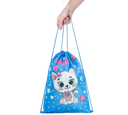 Мешок для обуви ПИФАГОР, 1 отделение, 42х34 см, 