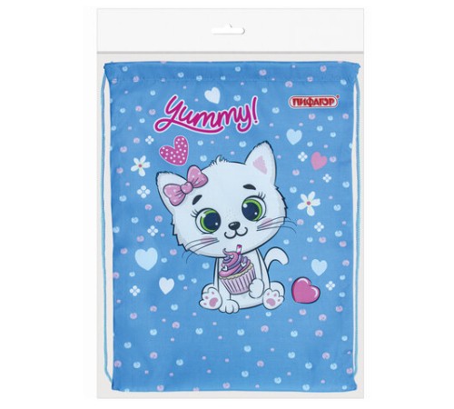 Мешок для обуви ПИФАГОР, 1 отделение, 42х34 см, 