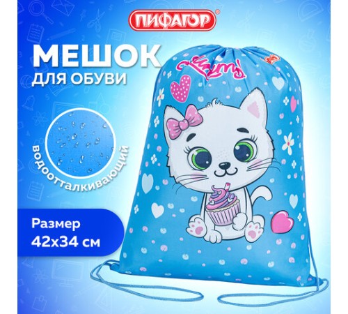 Мешок для обуви ПИФАГОР, 1 отделение, 42х34 см, 