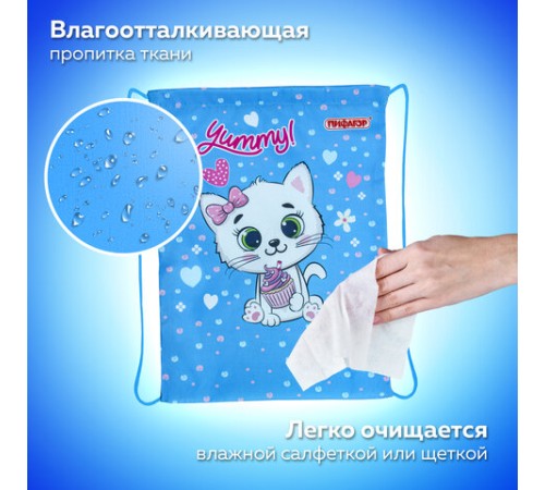 Мешок для обуви ПИФАГОР, 1 отделение, 42х34 см, 