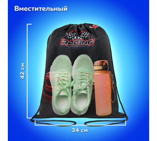 Мешок для обуви ПИФАГОР, 1 отделение, 42х34 см, 