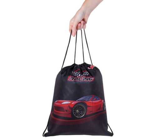 Мешок для обуви ПИФАГОР, 1 отделение, 42х34 см, 