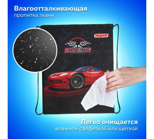 Мешок для обуви ПИФАГОР, 1 отделение, 42х34 см, 