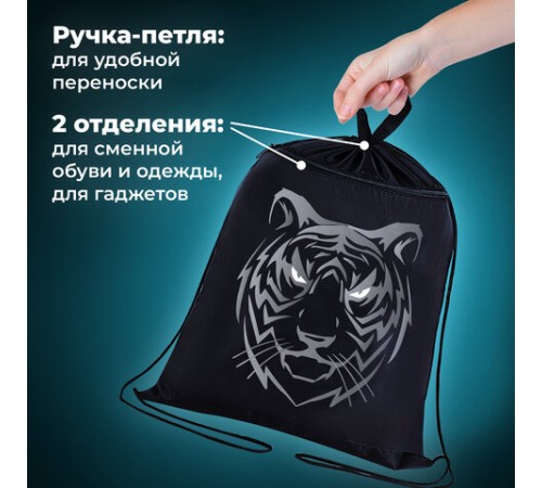 Мешок для обуви BRAUBERG, с петлёй, карман на молнии, 47х37 см, 