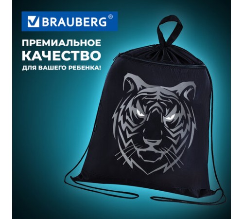 Мешок для обуви BRAUBERG, с петлёй, карман на молнии, 47х37 см, 