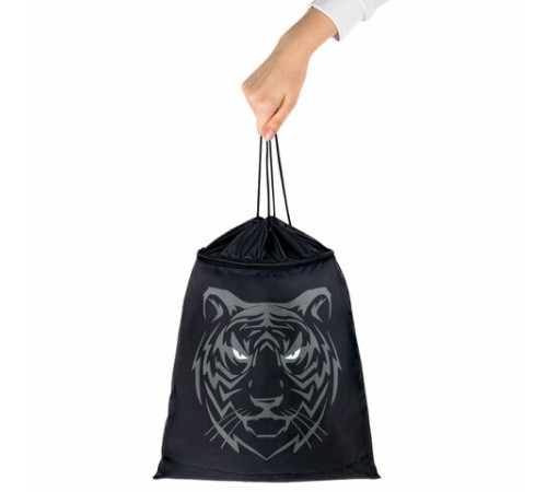 Мешок для обуви BRAUBERG, с петлёй, карман на молнии, 47х37 см, 