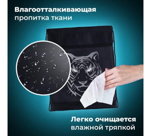 Мешок для обуви BRAUBERG, с петлёй, карман на молнии, 47х37 см, 