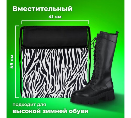 Мешок для обуви BRAUBERG БОЛЬШОЙ, с ручкой, карман на молнии, сетка, 49х41 см, 