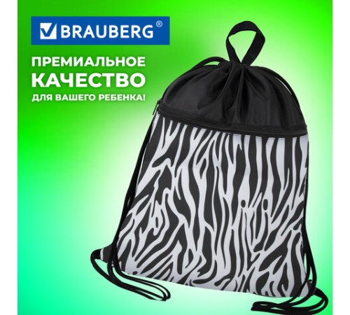 Мешок для обуви BRAUBERG БОЛЬШОЙ, с ручкой, карман на молнии, сетка, 49х41 см, 