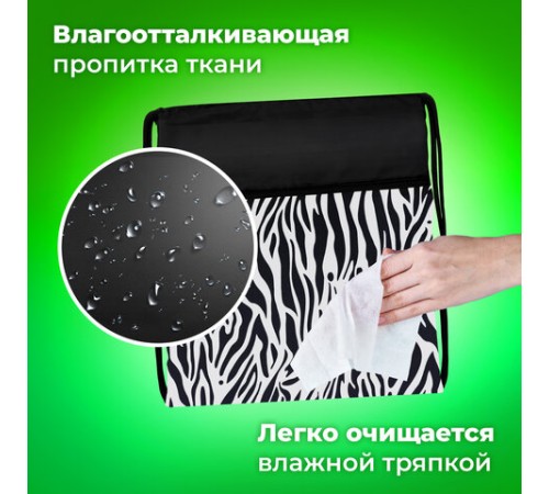 Мешок для обуви BRAUBERG БОЛЬШОЙ, с ручкой, карман на молнии, сетка, 49х41 см, 