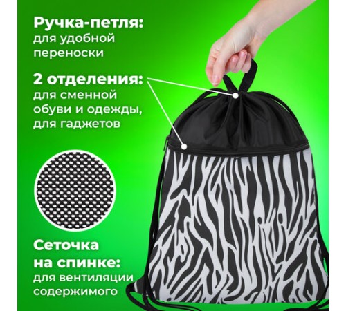 Мешок для обуви BRAUBERG БОЛЬШОЙ, с ручкой, карман на молнии, сетка, 49х41 см, 