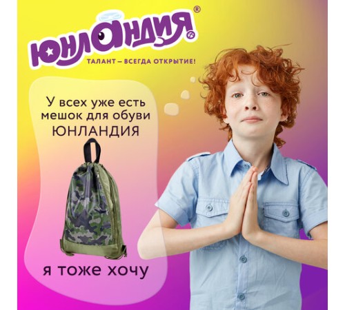 Мешок для обуви ЮНЛАНДИЯ, с ручками, боковой карман на молнии, 46х36 см, 