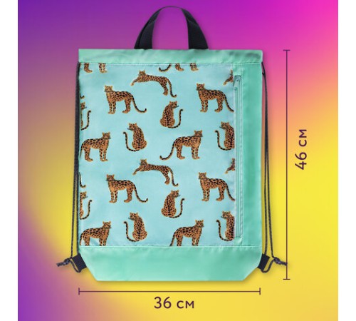 Мешок для обуви ЮНЛАНДИЯ, с ручками, боковой карман на молнии, 46х36 см, 