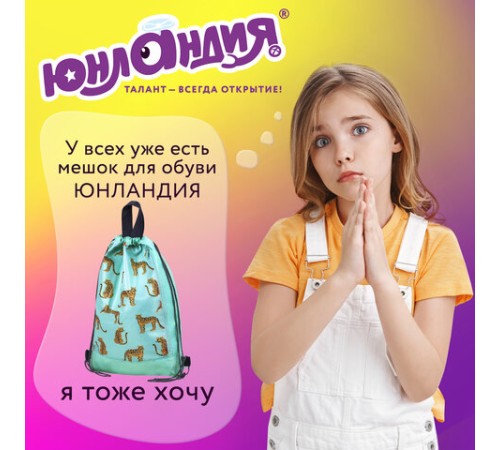 Мешок для обуви ЮНЛАНДИЯ, с ручками, боковой карман на молнии, 46х36 см, 