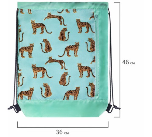 Мешок для обуви ЮНЛАНДИЯ, с ручками, боковой карман на молнии, 46х36 см, 