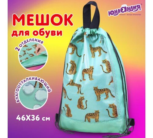 Мешок для обуви ЮНЛАНДИЯ, с ручками, боковой карман на молнии, 46х36 см, 