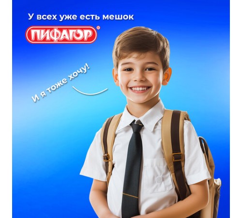 Мешок для обуви ПИФАГОР, 1 отделение, 40х32 см, синий, 271617