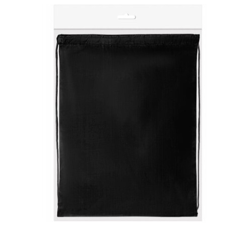 Мешок для обуви ПИФАГОР, 1 отделение, 40х32 см, черный, 271618