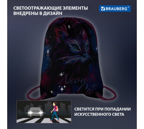 Мешок для обуви BRAUBERG PREMIUM, карман, подкладка, светоотражайка, 43х33 см, 