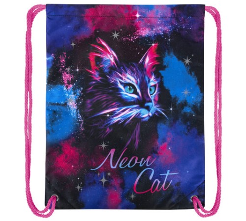 Мешок для обуви BRAUBERG PREMIUM, карман, подкладка, светоотражайка, 43х33 см, 