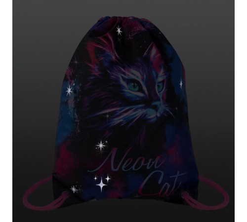 Мешок для обуви BRAUBERG PREMIUM, карман, подкладка, светоотражайка, 43х33 см, 