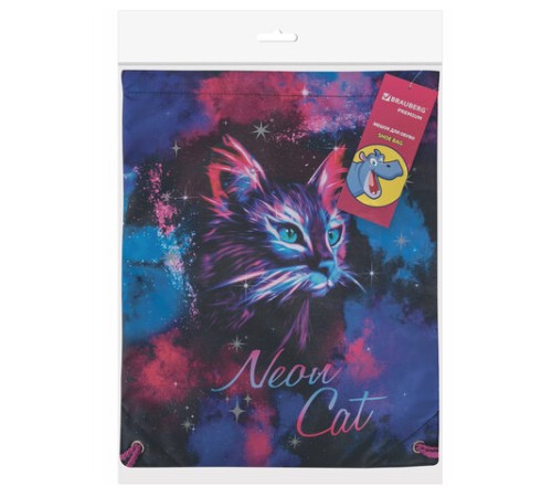 Мешок для обуви BRAUBERG PREMIUM, карман, подкладка, светоотражайка, 43х33 см, 