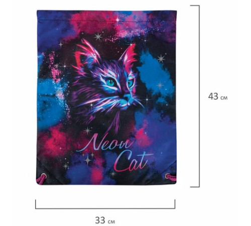 Мешок для обуви BRAUBERG PREMIUM, карман, подкладка, светоотражайка, 43х33 см, 