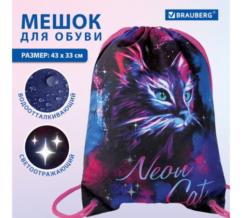 Мешок для обуви BRAUBERG PREMIUM, карман, подкладка, светоотражайка, 43х33 см, 