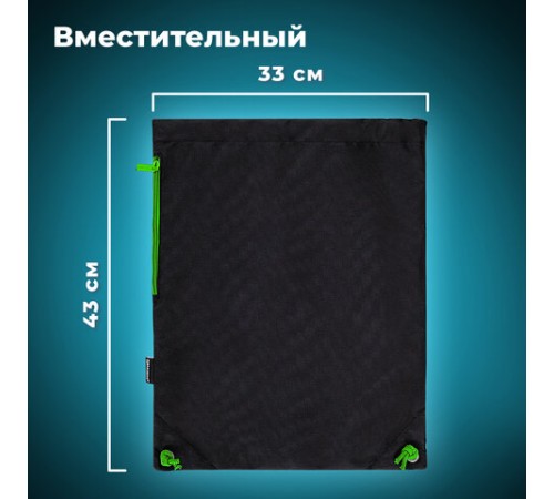 Мешок для обуви BRAUBERG плотный, карман на молнии, подкладка, 43х33 см, 