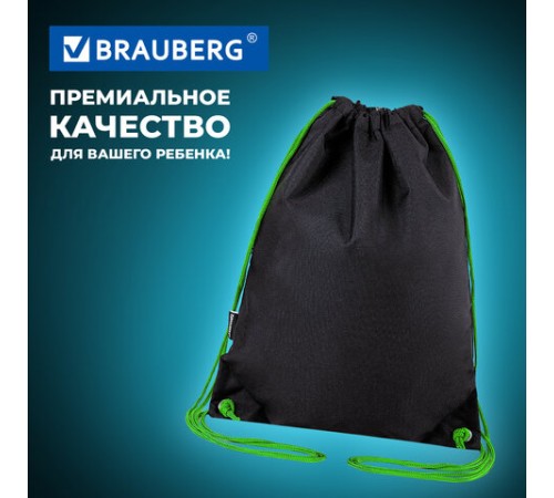 Мешок для обуви BRAUBERG плотный, карман на молнии, подкладка, 43х33 см, 