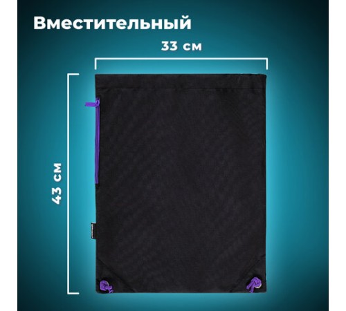 Мешок для обуви BRAUBERG плотный, карман на молнии, подкладка, 43х33 см, 