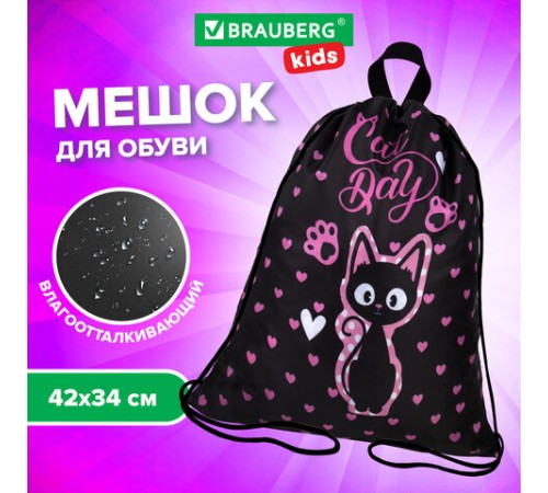 Мешок для обуви BRAUBERG KIDS, с петлей, 42х34 см, 