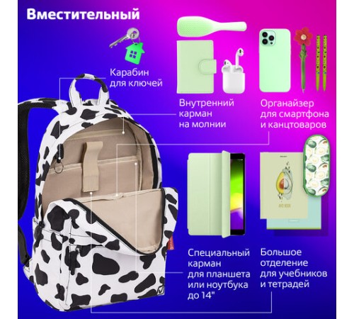 Рюкзак BRAUBERG DREAM универсальный с карманом для ноутбука, эргономичный, 