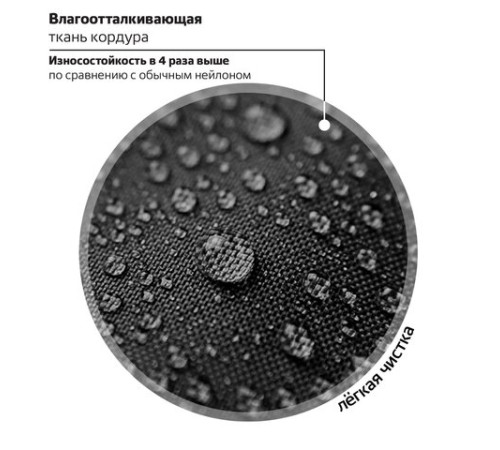 Ранец BRAUBERG PREMIUM, 2 отделения, с брелком, 