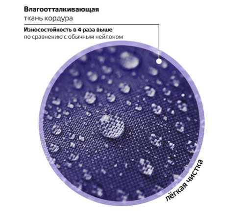 Ранец BRAUBERG PREMIUM, 2 отделения, с брелоком, 