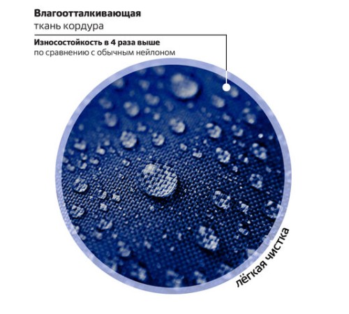 Ранец BRAUBERG PREMIUM, 2 отделения, с брелоком, 