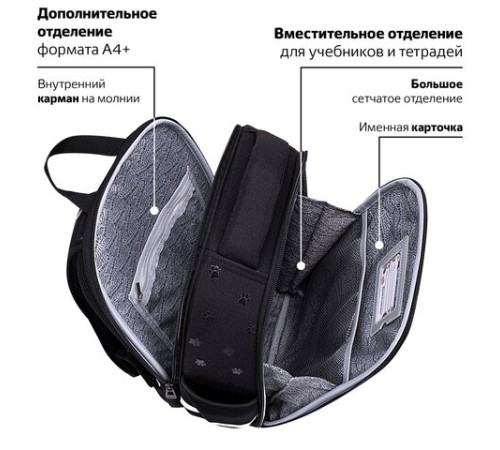Ранец BRAUBERG FIT, 2 отделения, 