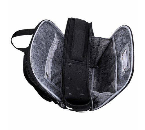 Ранец BRAUBERG FIT, 2 отделения, 