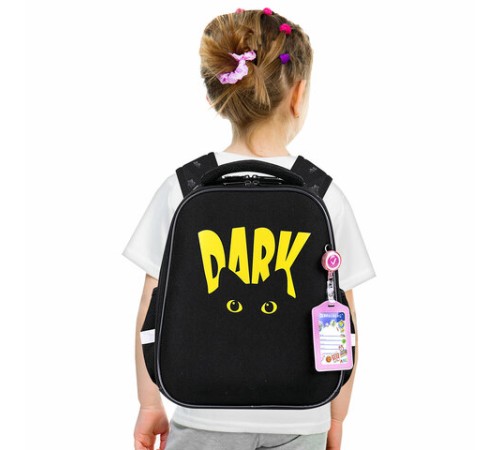 Ранец BRAUBERG FIT, 2 отделения, 