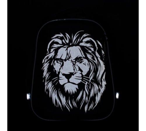 Ранец BRAUBERG SHINY, 2 отделения, с брелком, 