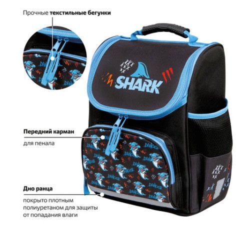 Ранец ПИФАГОР BASIC, 1 отделение, 3 кармана, эргономичная спинка, 