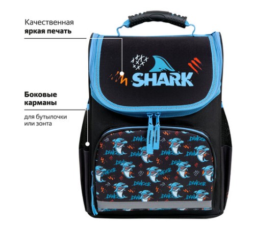 Ранец ПИФАГОР BASIC, 1 отделение, 3 кармана, эргономичная спинка, 