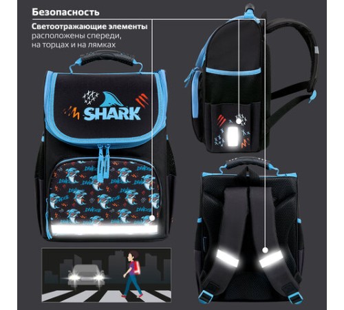 Ранец ПИФАГОР BASIC, 1 отделение, 3 кармана, эргономичная спинка, 