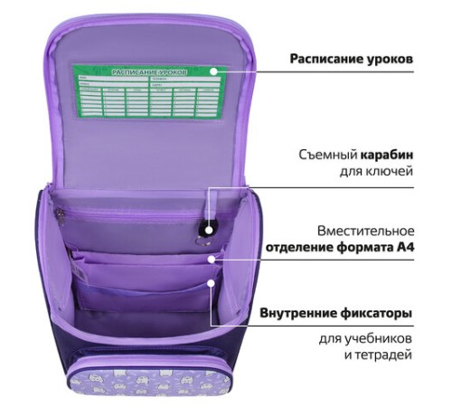 Ранец ПИФАГОР BASIC, 1 отделение, 3 кармана, эргономичная спинка, 