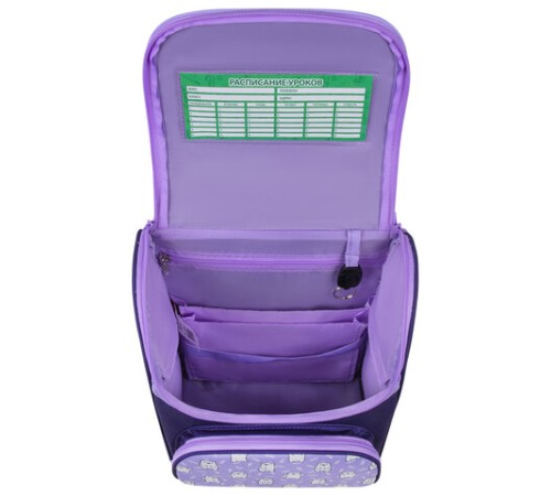 Ранец ПИФАГОР BASIC, 1 отделение, 3 кармана, эргономичная спинка, 