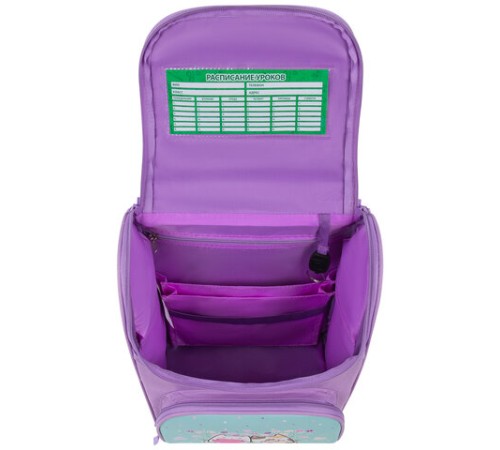 Ранец ПИФАГОР BASIC, 1 отделение, 3 кармана, эргономичная спинка, 