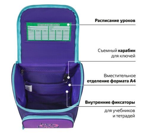 Ранец ПИФАГОР BASIC, 1 отделение, 3 кармана, эргономичная спинка, 